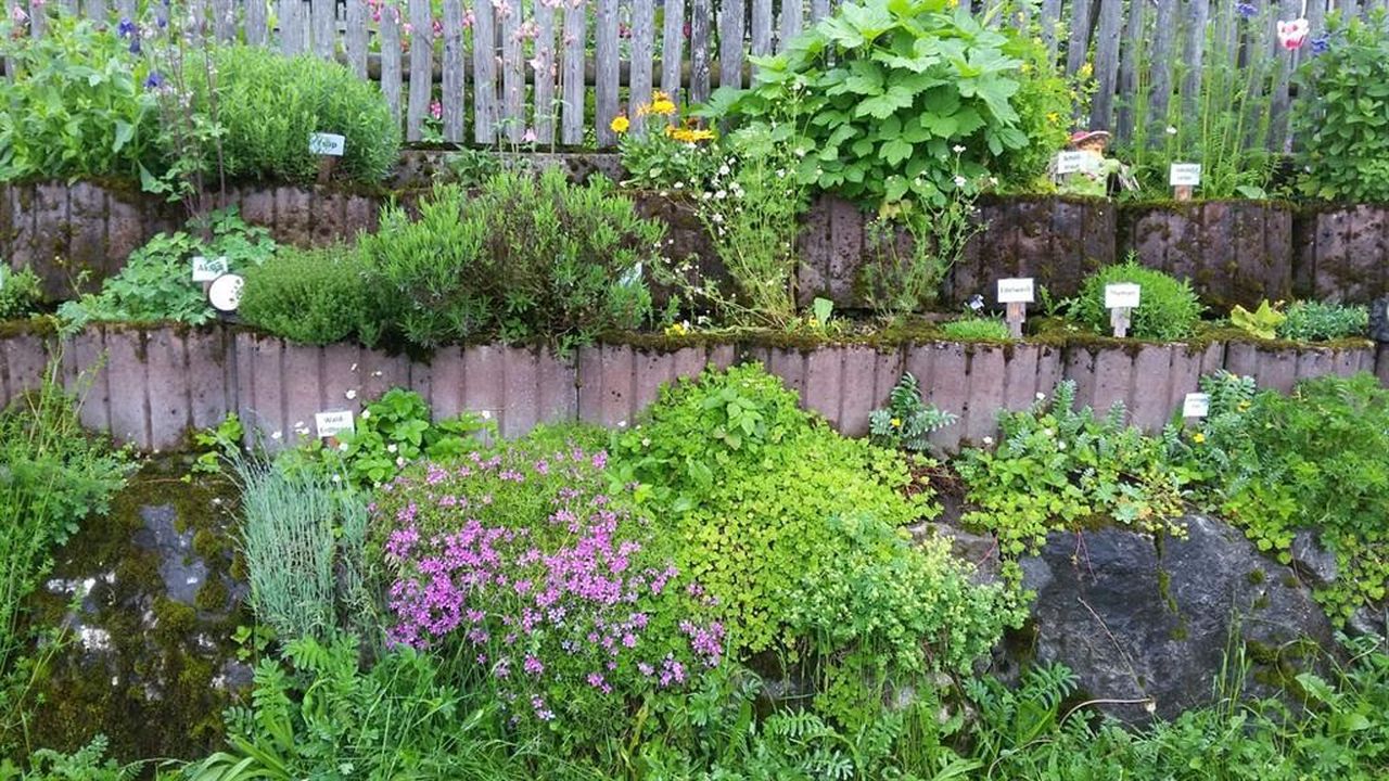 Kräutergarten Kräutergarten